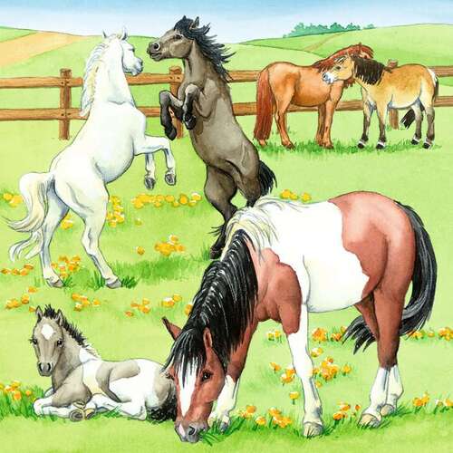 Ravensburger - 3 x 49Pc A Day At The Stables Puzzle