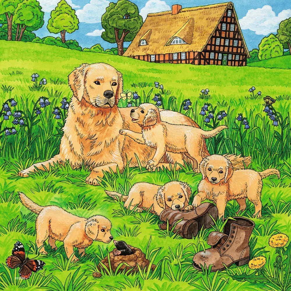 Ravensburger - 3 x 49Pc Cats And Dogs Puzzle