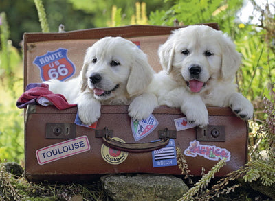 Ravensburger - 100Pc Travelling Puppies Puzzle