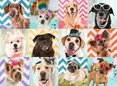 Ravensburger - 100Pc Doggy Disguise Puzzle