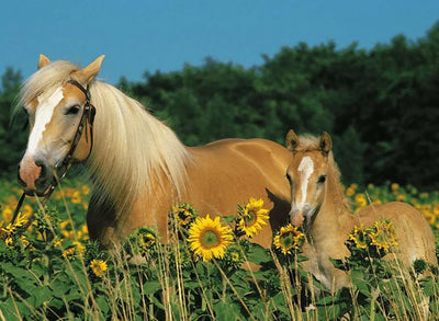 Ravensburger - 200pc Horse Happiness Puzzle