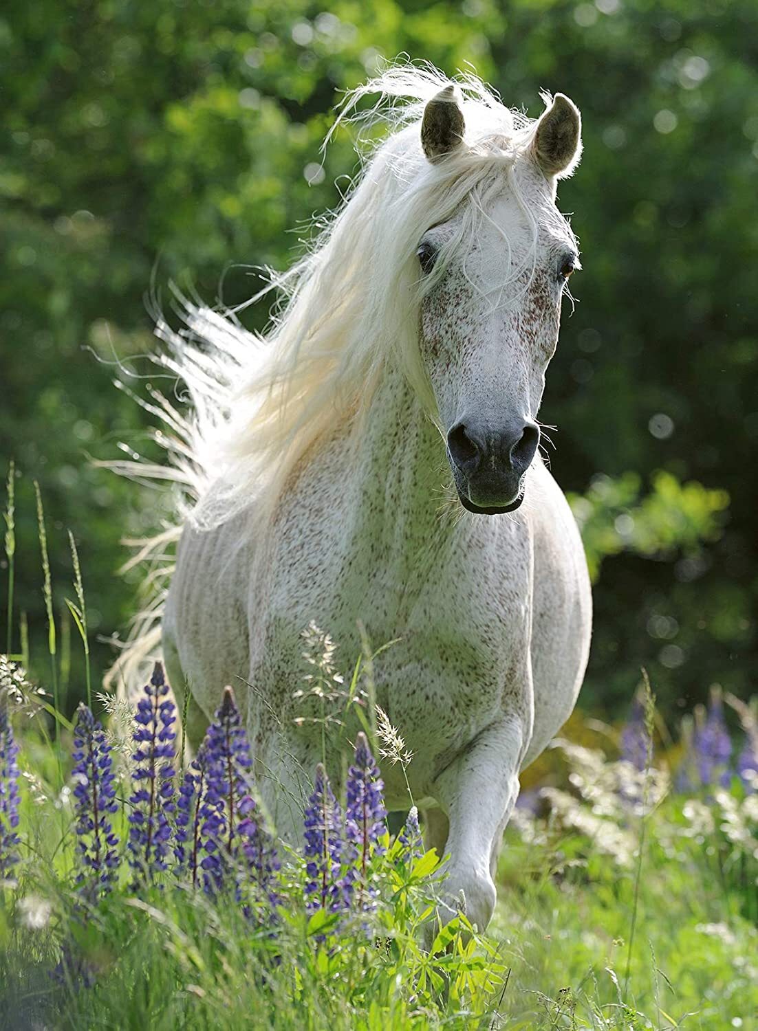Ravensburger - 100Pc Horse in Flowers Puzzle