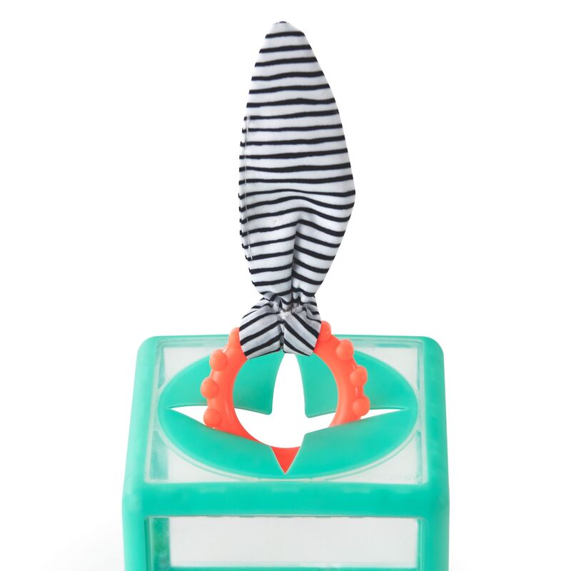 Sassy - Rainbow Ring Drop