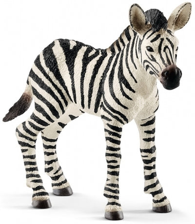 Schleich - Zebra Foal