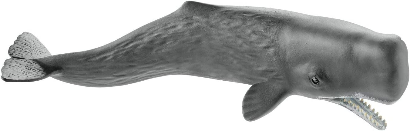 Schleich - Sperm Whale