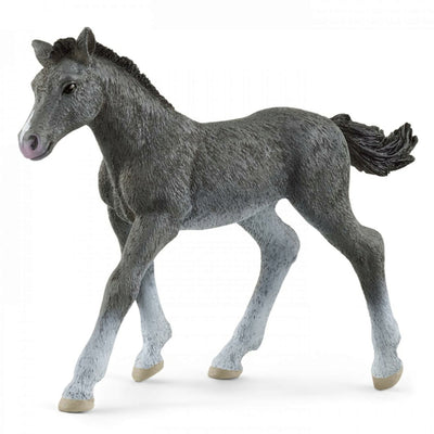 Schleich - Trakehner Foal