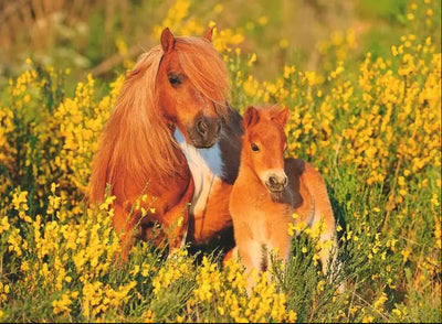 Ravensburger - 100Pc Shetland Ponies Puzzle