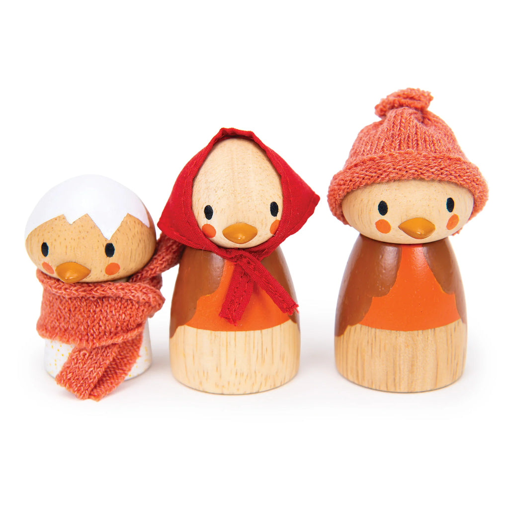 Tender Leaf Toys - Robin's Nest Box