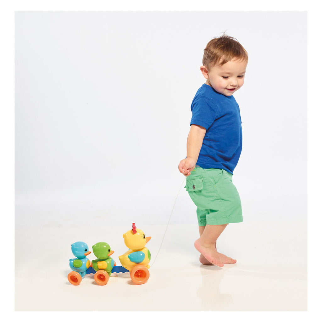 Tomy - Toomies Quack Along Ducks