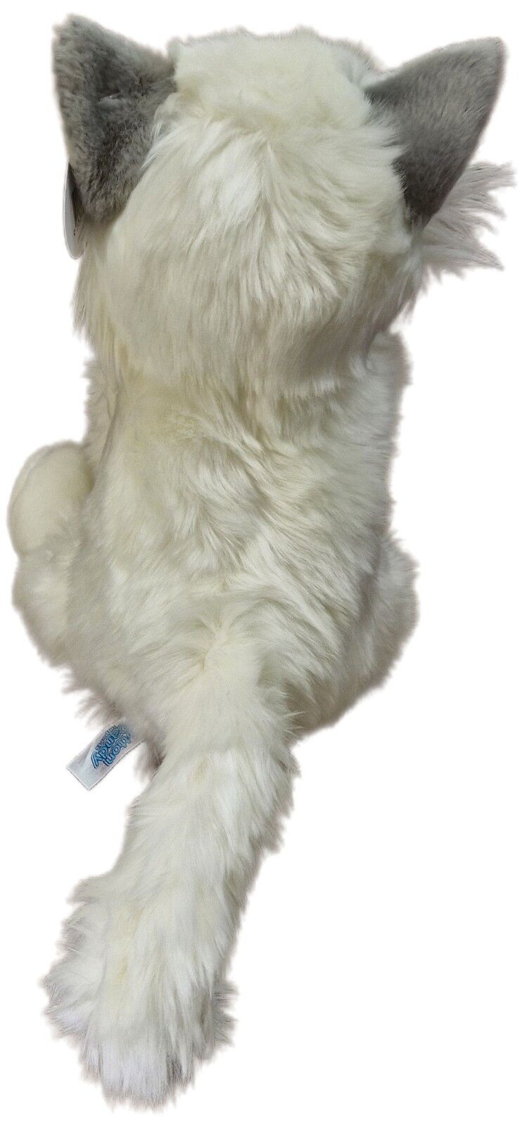 Cotton Candy - White Cat