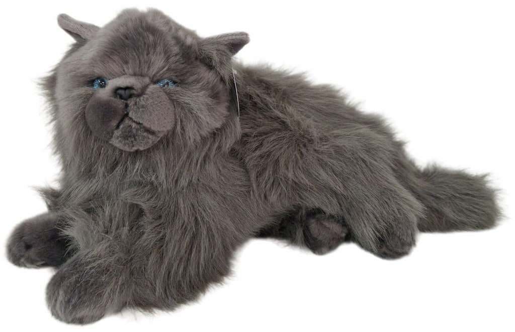 Cotton Candy - Lying Grey Cat