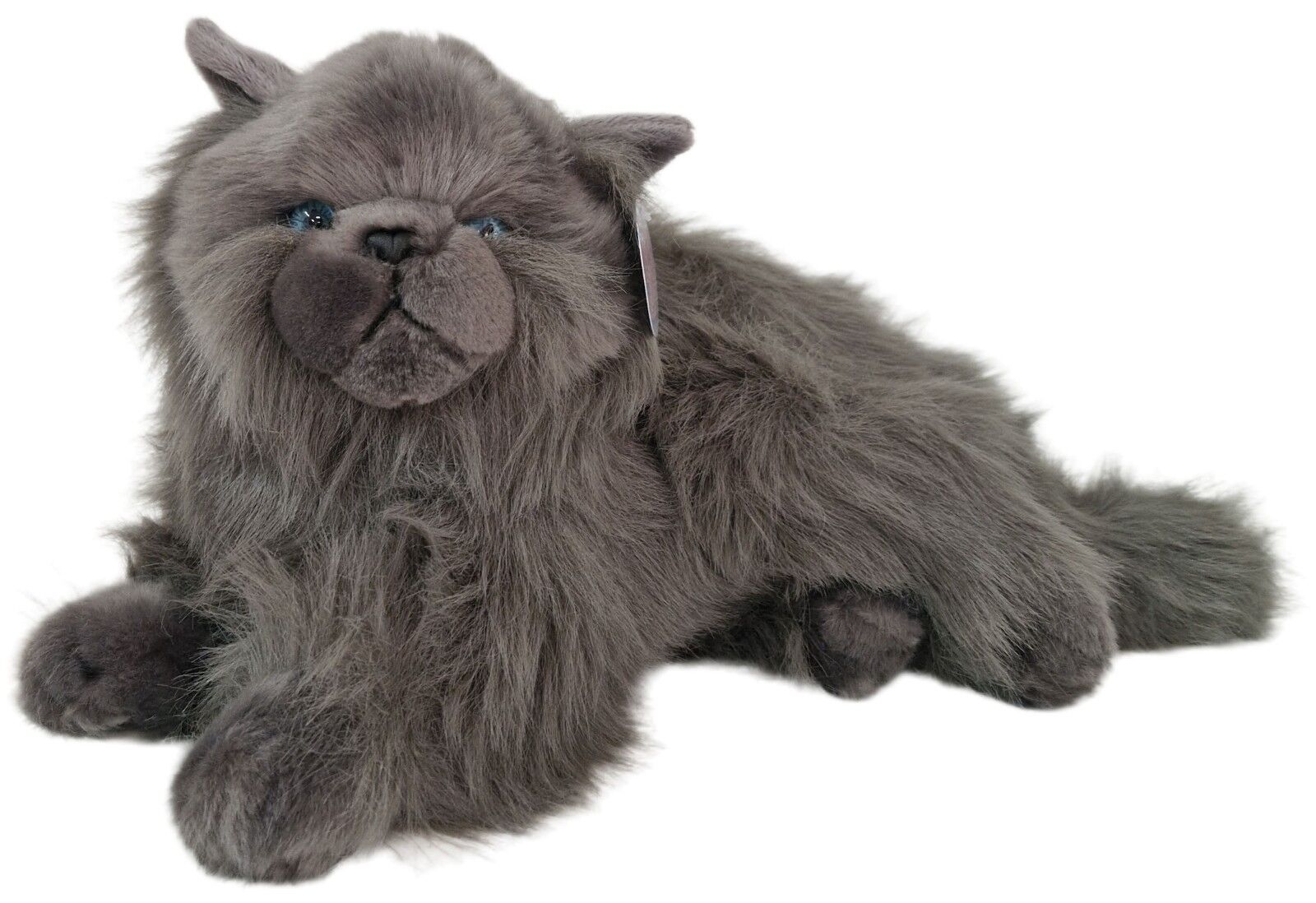 Cotton Candy - Lying Grey Cat