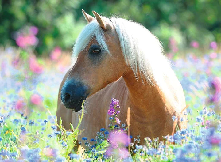 Ravensburger - 300Pc Wildflower Pony Puzzle