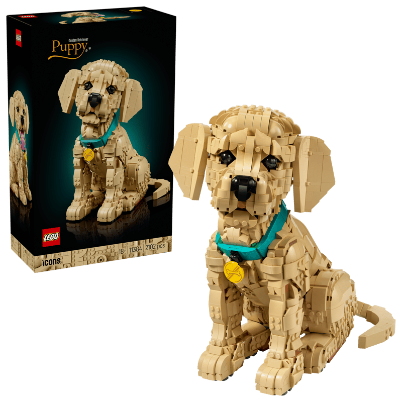 LEGO - Icons Golden Retriever Puppy 11384