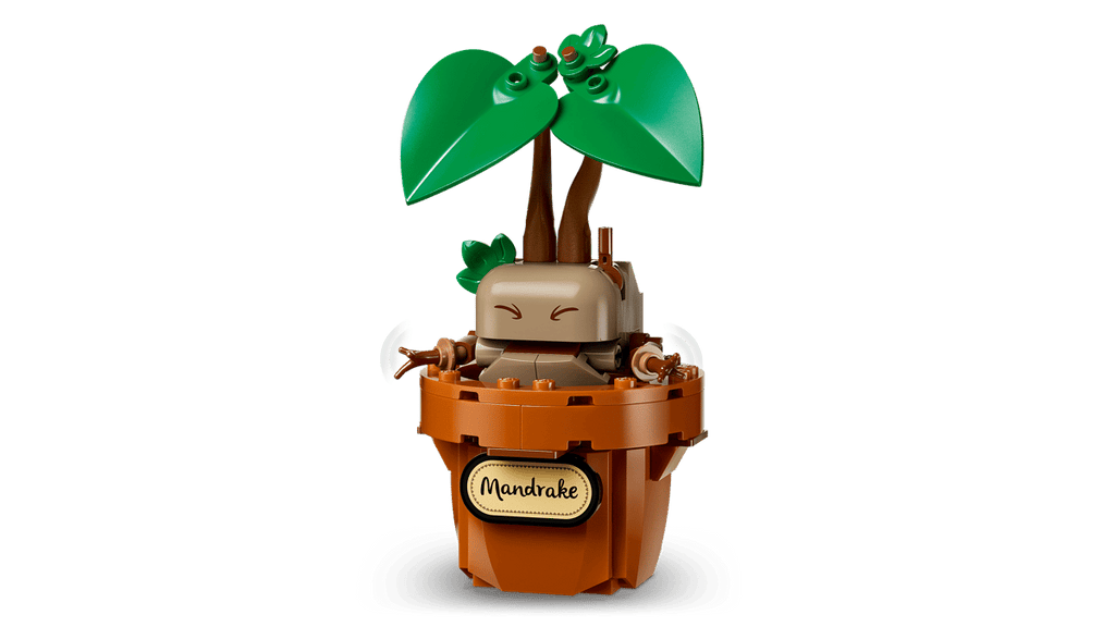 Lego - Harry Potter Hogwarts Herbolopy Plants 76474