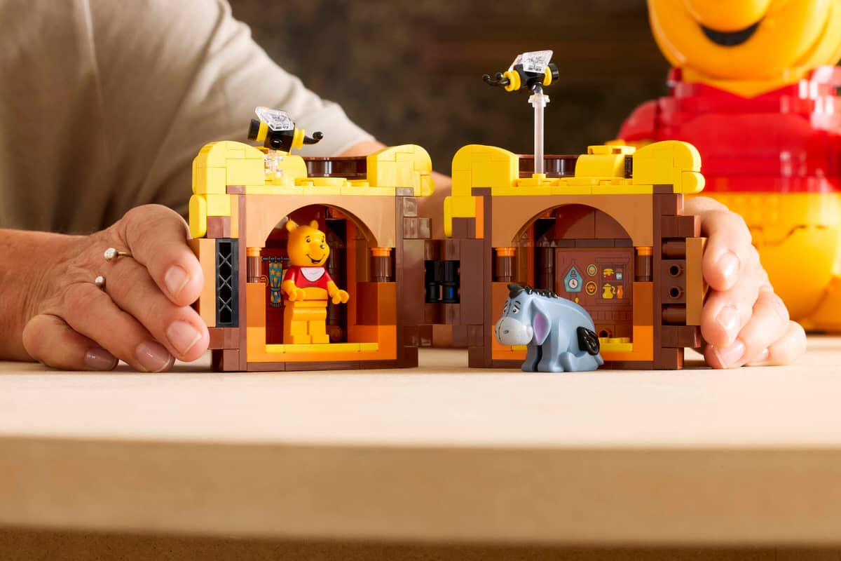 LEGO - Winnie the Pooh 43300