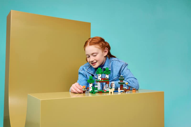 LEGO - Minecraft First Night Adventure 21593