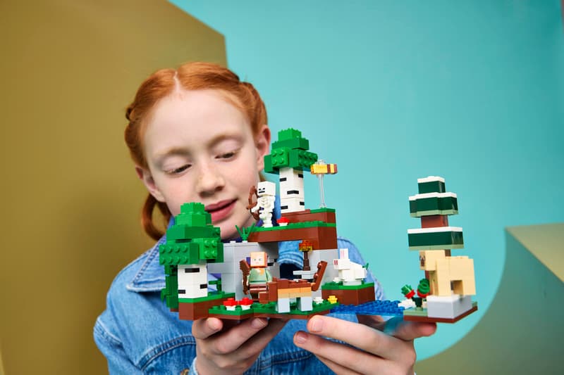 LEGO - Minecraft First Night Adventure 21593
