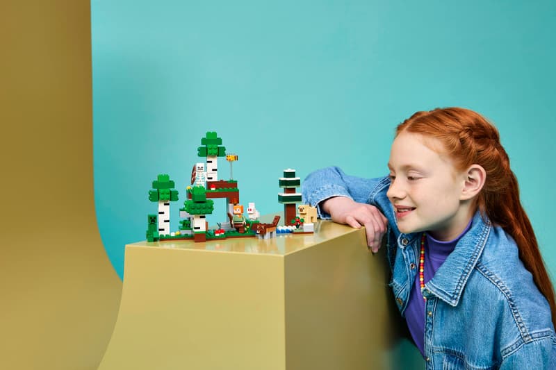 LEGO - Minecraft First Night Adventure 21593