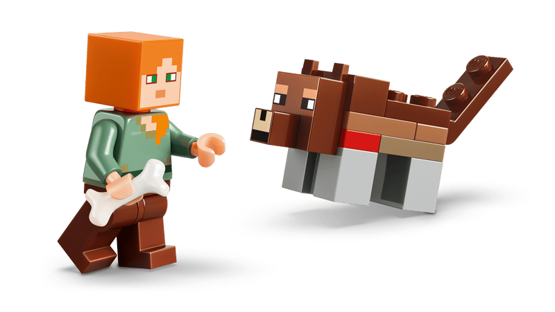 LEGO - Minecraft First Night Adventure 21593