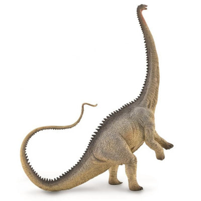 Collecta - Diplodocus - Grey