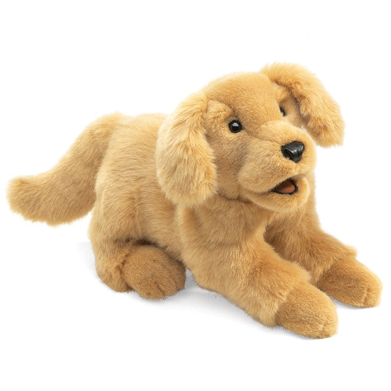 Folkmanis - Golden Retriever Puppy Puppet
