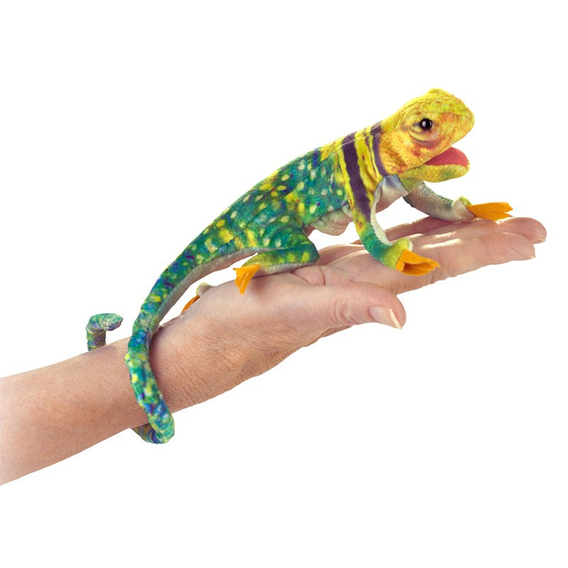 Folkmanis - Mini Collared Lizard Finger Puppet