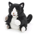 Folkmanis - Tuxedo Kitten Puppet