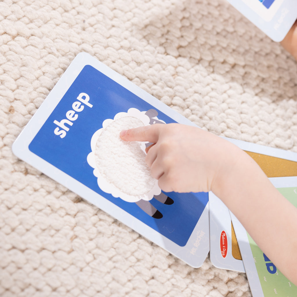 Melissa & Doug - Ms. Rachel First Words Sensory Cards