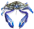 Huggable - Karil Crab Blue Manna