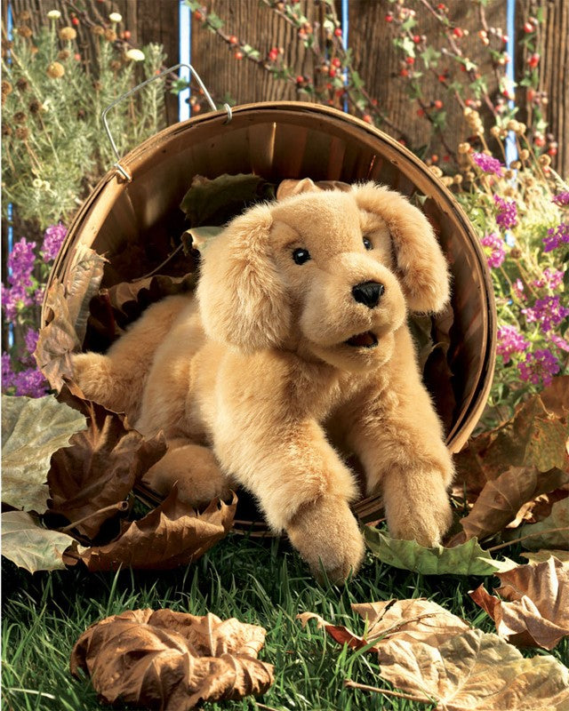 Folkmanis - Golden Retriever Puppy Puppet