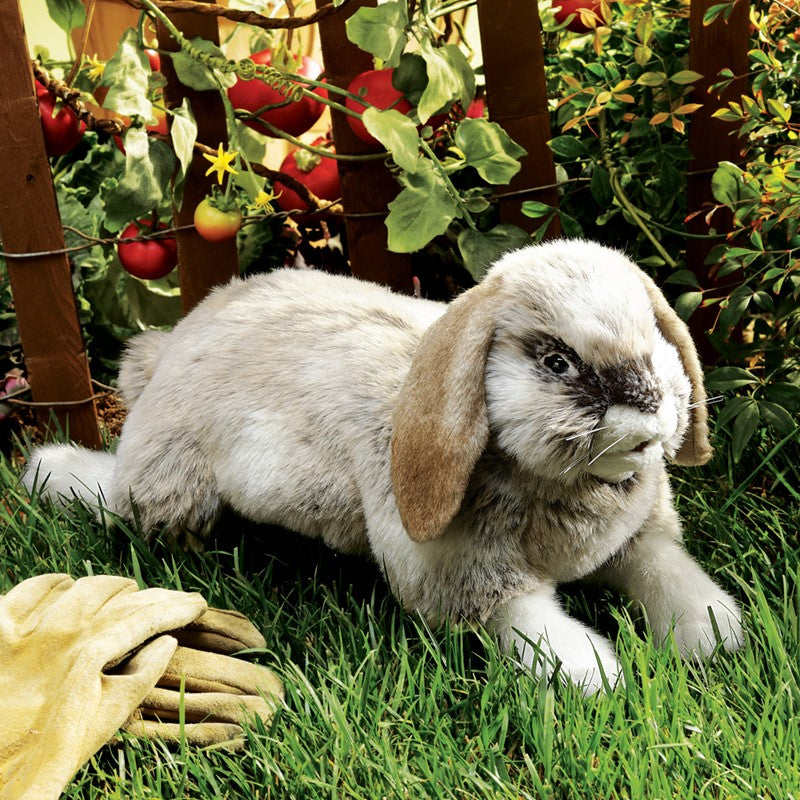 Folkmanis - Holland Lop Rabbit Puppet