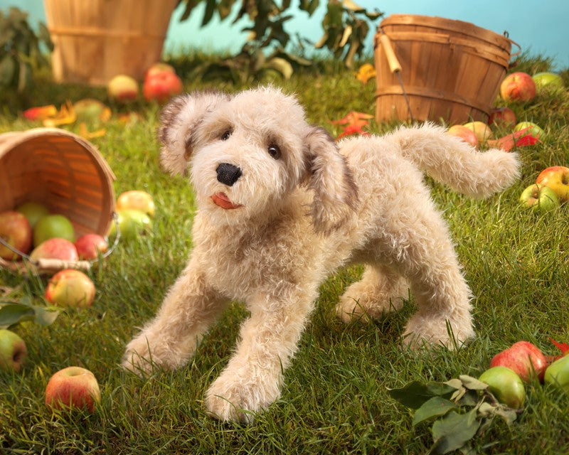 Folkmanis - Labradoodle Puppet