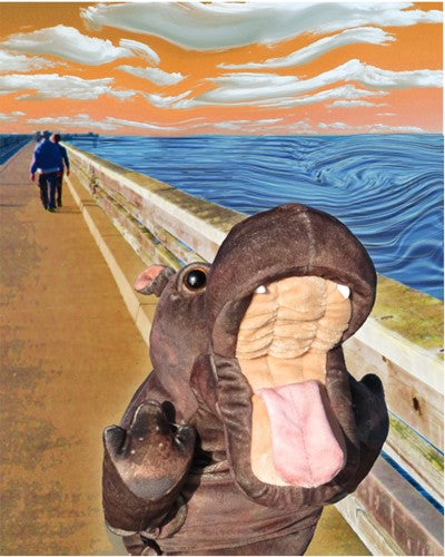 Folkmanis - Baby Hippo Puppet