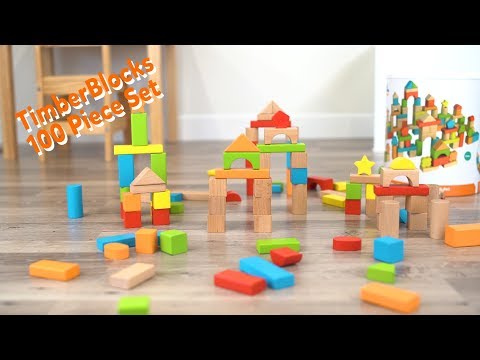 Fat Brain - TimberBlocks 100pc Block Barrel