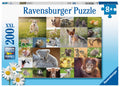 Ravensburger - Cute Animal Babies Puzzle 200pc