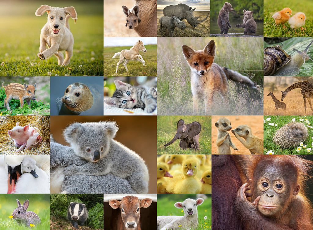 Ravensburger - Cute Animal Babies Puzzle 200pc