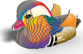 EUGY - Mandarin Duck