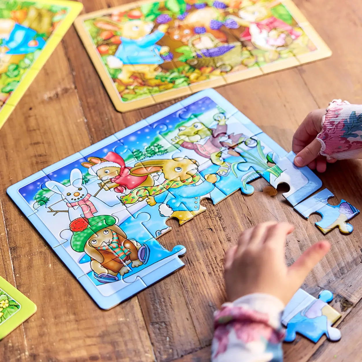 Orchard Peter Rabbit - 4-in-a-Box Puzzles