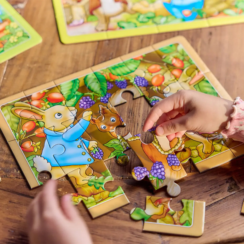 Orchard Peter Rabbit - 4-in-a-Box Puzzles