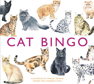 Brumby - Bingo - Cat