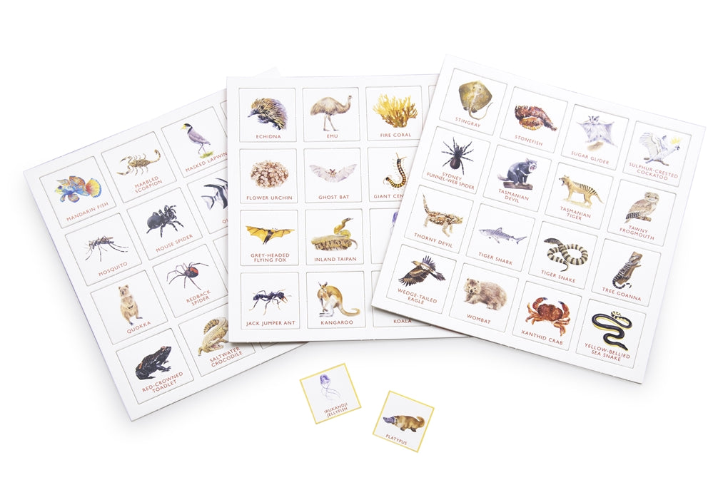 Brumby - Bingo - Australia's Deadly Animals