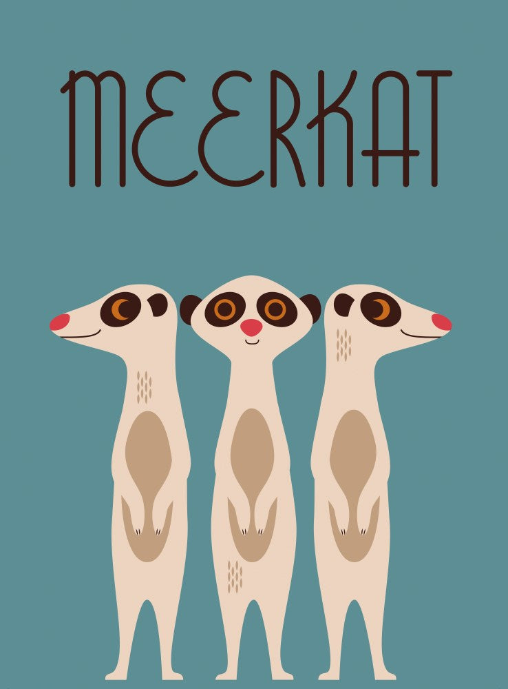 Animals  (Hard Back)