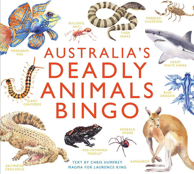 Brumby - Bingo - Australia's Deadly Animals