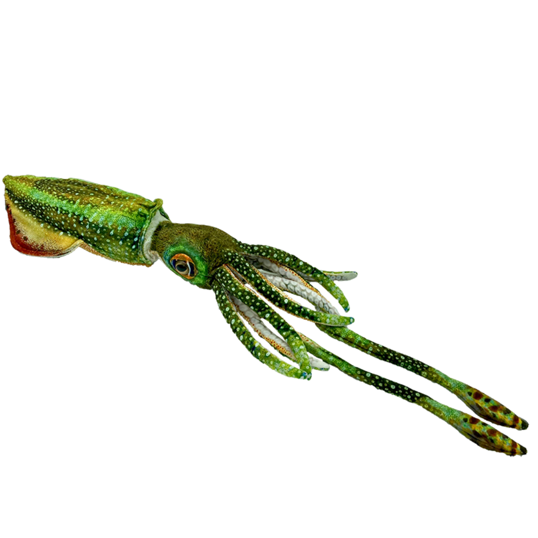 Huggable - Corey Cuttlefish