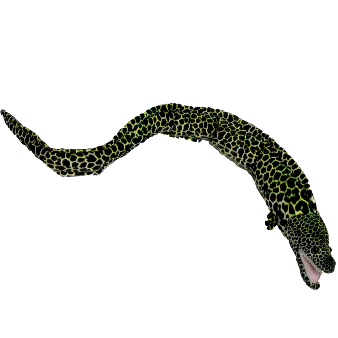 Huggable - Emilio Eel