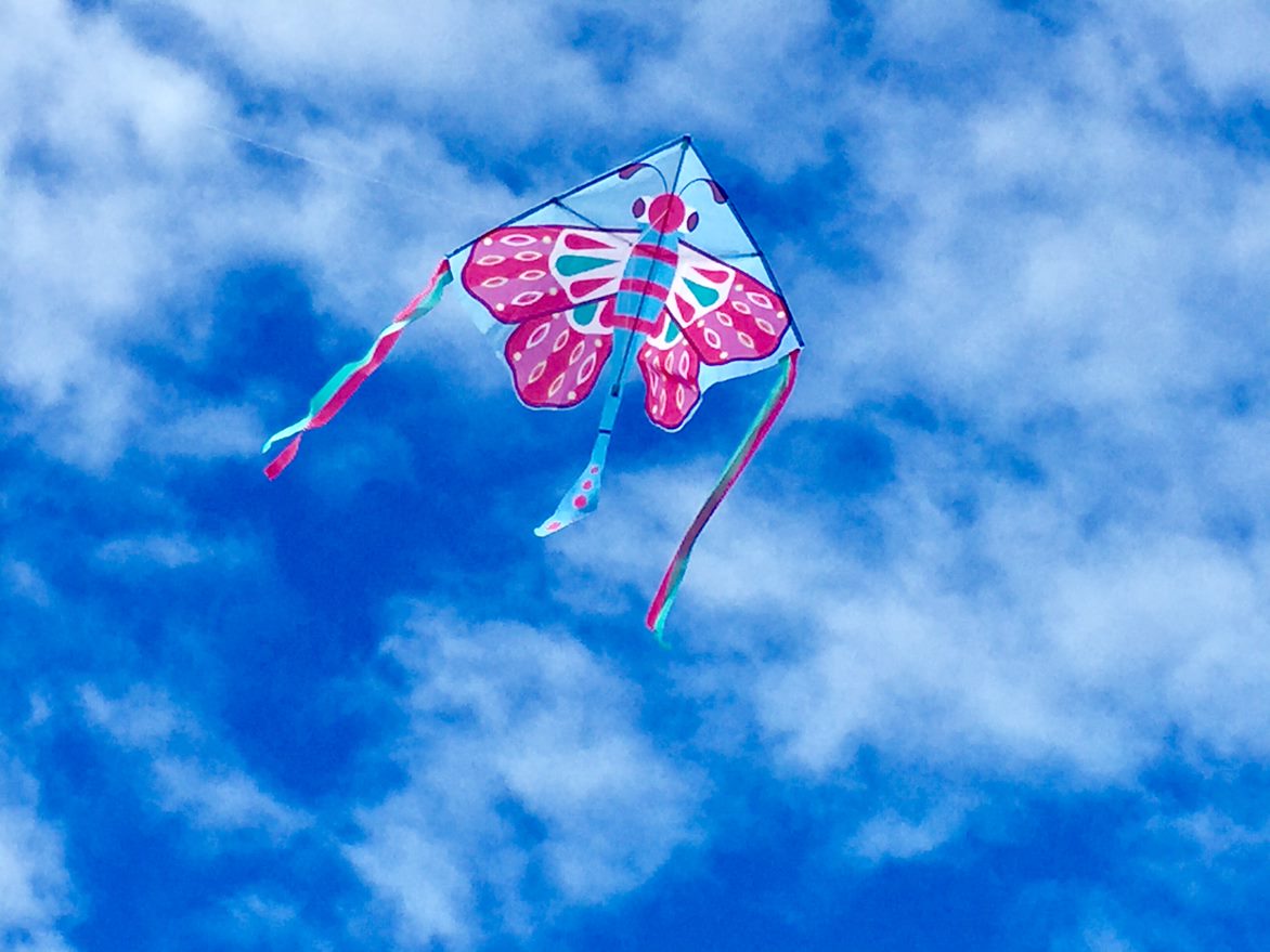 High as a Kite - Beautiful Butterfly Kite