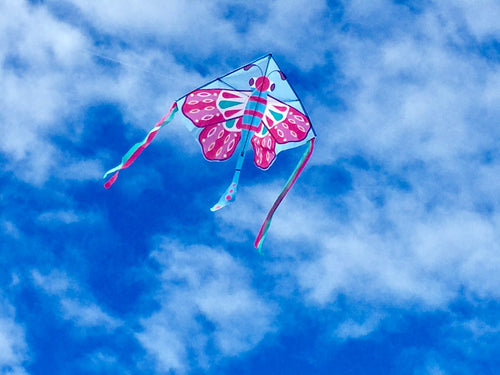 High as a Kite - Beautiful Butterfly Kite