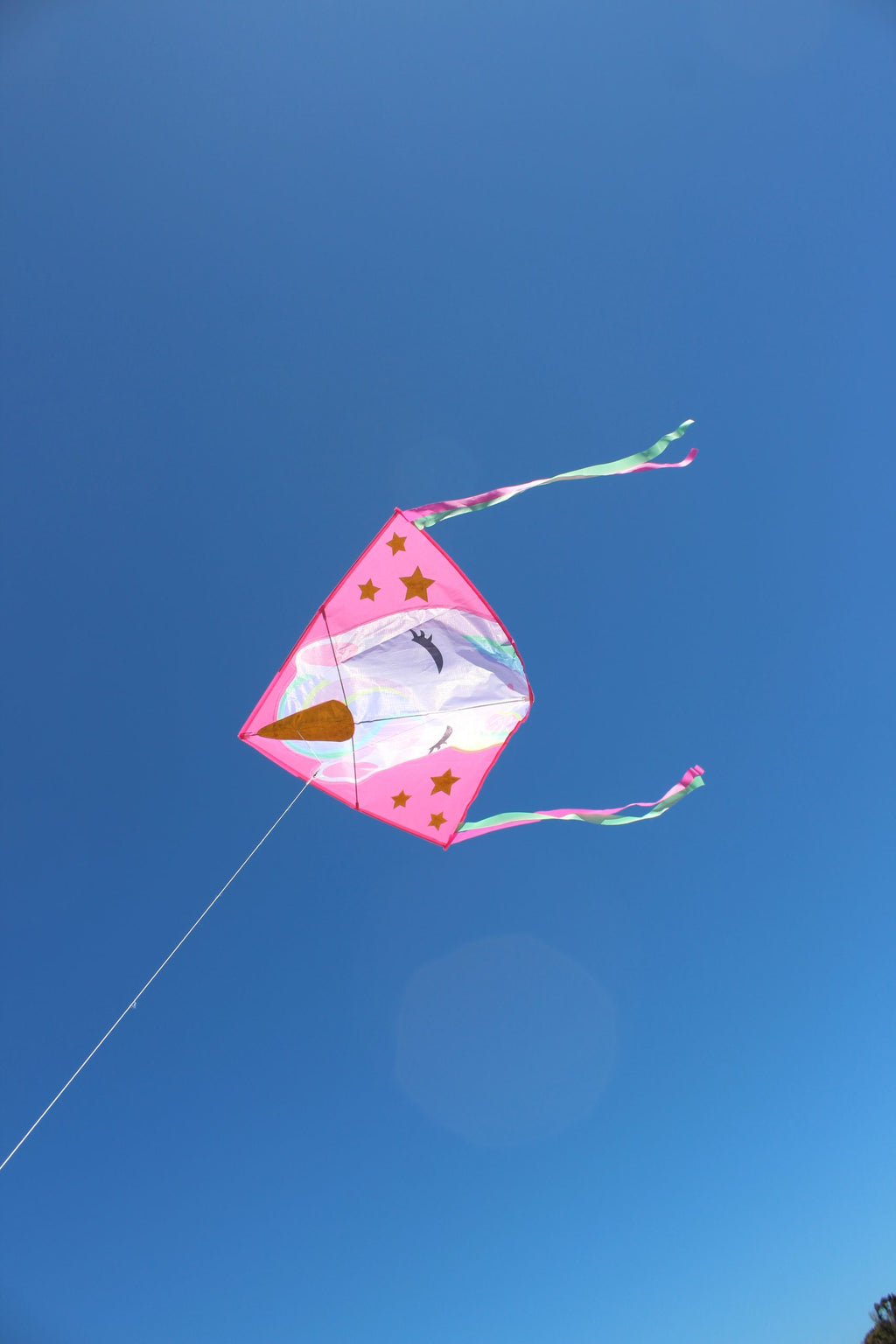 High as a Kite - Unicorn Kite