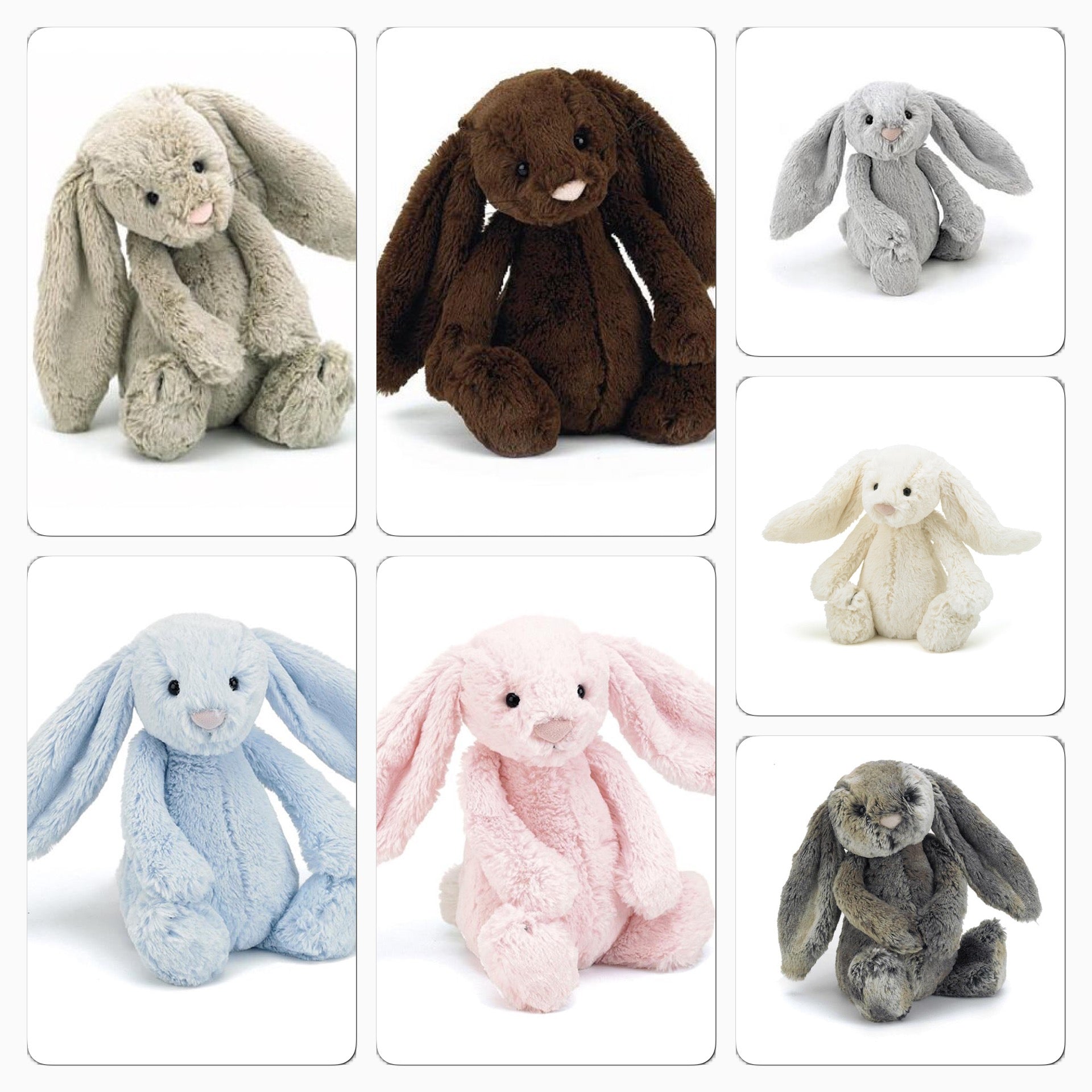 Jelly Cat - Bashful Bunny